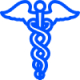 caduceus image